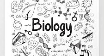 BIO4: SENIOR FOUR BIOLOGY