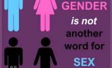 gender and sex