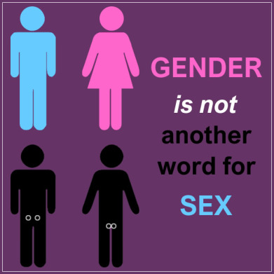 gender and sex