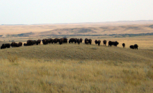 CANADIAN PRAIRIES - GEOGRAPHY SENIOR TWO