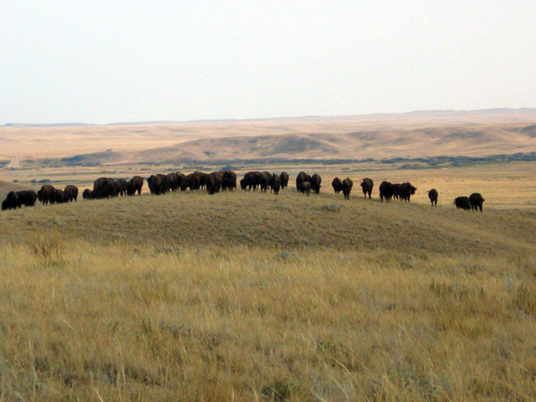 CANADIAN PRAIRIES - GEOGRAPHY SENIOR TWO