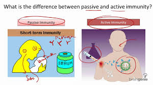 SCI/P/5: IMMUNITY AND IMMUNIZATION 1