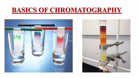 CHE1: CHROMATOGRAPHY 1