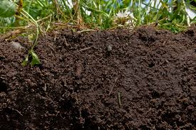 SCI/P/5: SOIL 1