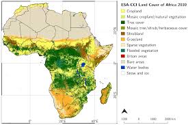 S.S.T/P/7: VEGETATION IN AFRICA 1