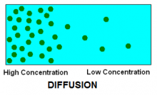 DIFFUSION