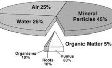 AGRICULTURE- SOIL CONSTITUENTS (SOIL COMPOSITION)