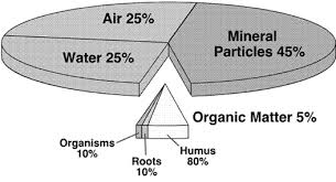 AGRICULTURE- SOIL CONSTITUENTS (SOIL COMPOSITION)