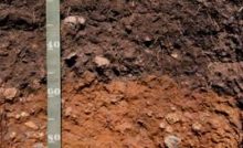 SOIL PROFILE Agriculture