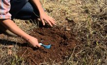 AGRICULTURE - SOIL SAMPLING