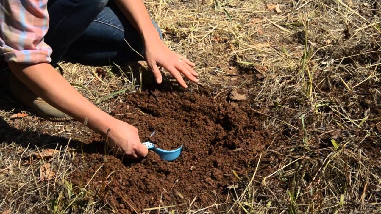 AGRICULTURE - SOIL SAMPLING