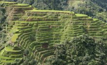 Agriculture O-LEVEL- TERRACING