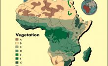 GEOGRAPHY O-LEVEL-VEGETATION IN AFRICA