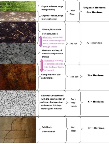 SOIL PROFILE Agriculture – FAWE E-Learning platform