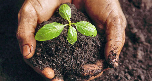 AGRICULTURE O-LEVEL MAINTAINING SOIL FERTILITY