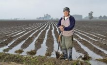 AGRICULTURE O-LEVEL - SOIL AND WATER CONSERVATION