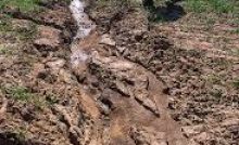 AGRICULTURE O-LEVEL SOIL EROSION