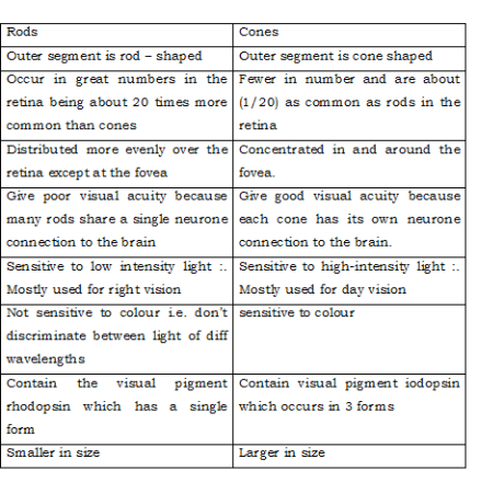 Q 4 part c pl (d) Retina â€¢ven colours that constitute n as ...