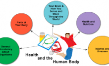 Human body and health