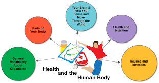 Human body and health