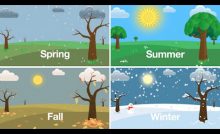 seasons