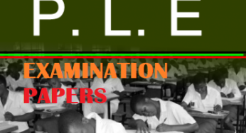 DOWNLOAD UNEB PRIMARY LEAVING EXAMINATIONS FOR ALL THE FOUR SUBJECTS