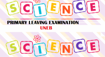 UNEB- PRIMARY LEAVING EXAMINATIONS SCIENCE REVISION QUESTIONS