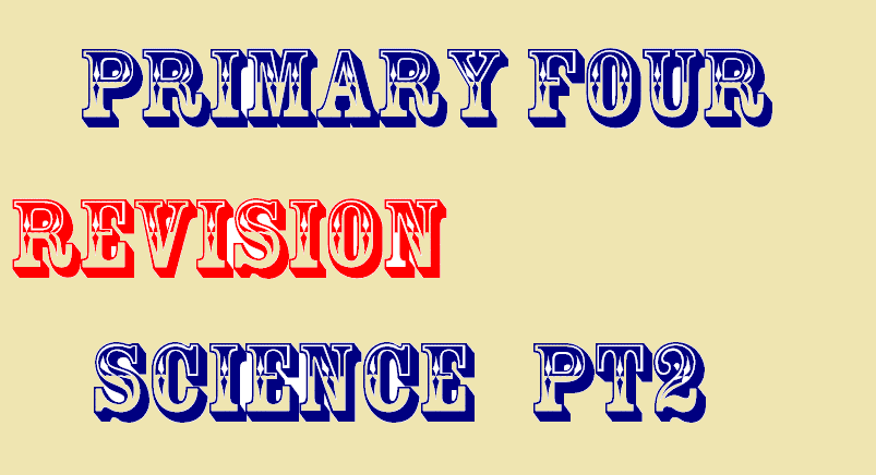 PRIMARY FOUR REVISION QUESTIONS SCIENCE PT2