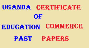 UGANDA CERTIFICATE OF EDUCATION COMMERCE PAST PAPERS 11