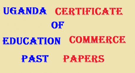 UGANDA CERTIFICATE OF EDUCATION COMMERCE PAST PAPERS 6