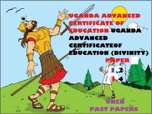 UGANDA ADVANCED CERTIFICATE OF EDUCATION CHRISTIAN RELIGIOUS EDUCATION (DIVINITY) PAST PAPERS PAPER 1,2,3,4 33