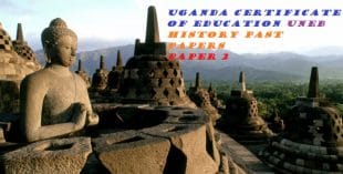 UGANDA CERTIFICATE OF EDUCATION HISTORY PAST PAPERS PAPER 2 20