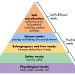 Maslow's Needs Theory