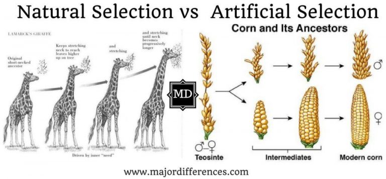 AGRIC/5: BASIC SCIENCE I: Selection 1