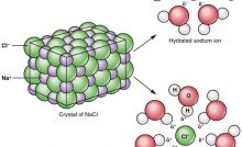 ACIDS, BASES AND BASES