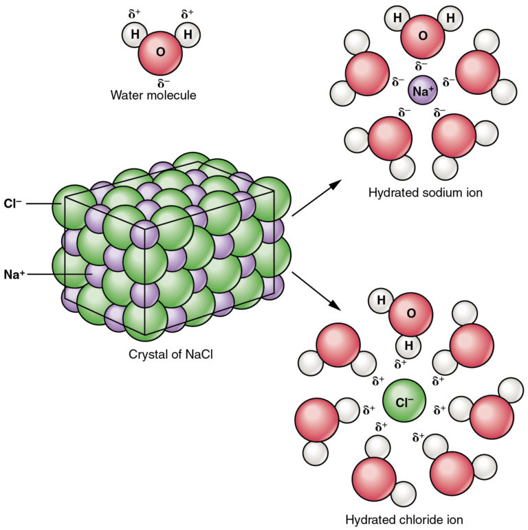 ACIDS, BASES AND BASES