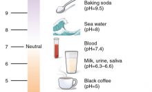 BUFFER SOLUTION