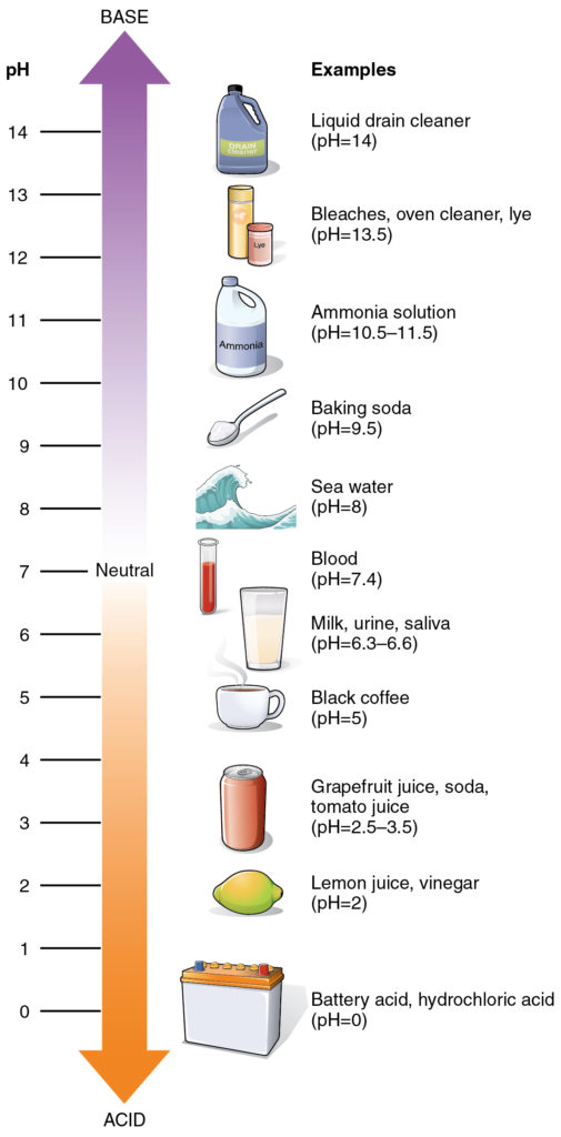 BUFFER SOLUTION