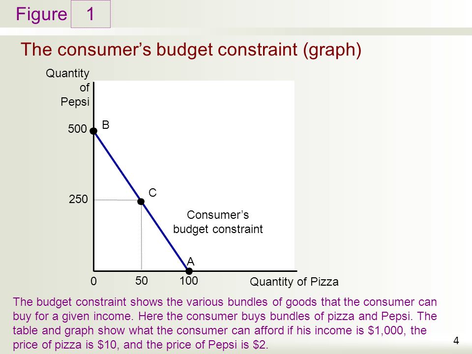 Economic Theory:Consumer Equilibrium-Consumer’s Budget Constraint