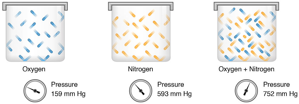 THE CONCEPT OF CHEMICAL EQUILIBRIUM