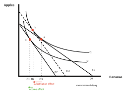 Economic Theory:Consumer Equilibrium-Indifference Curves