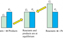 THE CONCEPT OF CHEMICAL EQUILIBRIUM