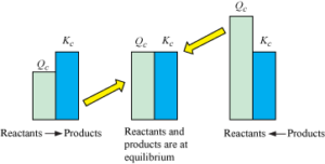 THE CONCEPT OF CHEMICAL EQUILIBRIUM