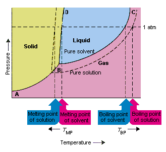 TYPES OF SOLUTIONS