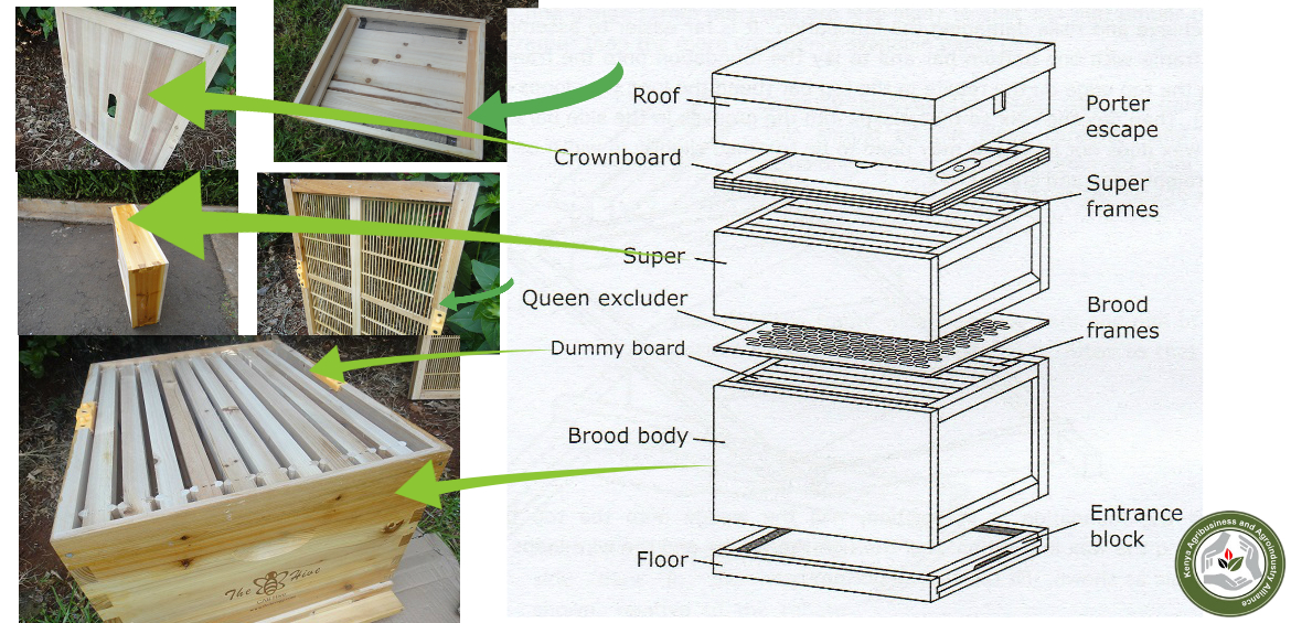 AGRIC/5: ANIMAL PRODUCTION III: Bee Keeping 1