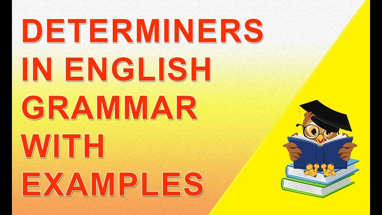 English grammar determiners