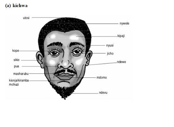 SEHEMU ZA MWILI WA BINADAMU (Body parts) - Yaaka Digital Network