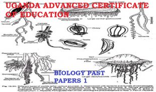 DOWNLOAD UACE BIOLOGY PAPER ONE 2007-Quality Tutors Uganda 1