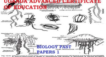 DOWNLOAD UACE BIOLOGY PAPER ONE 2011 MARKING GUIDE-Quality Tutors Uganda