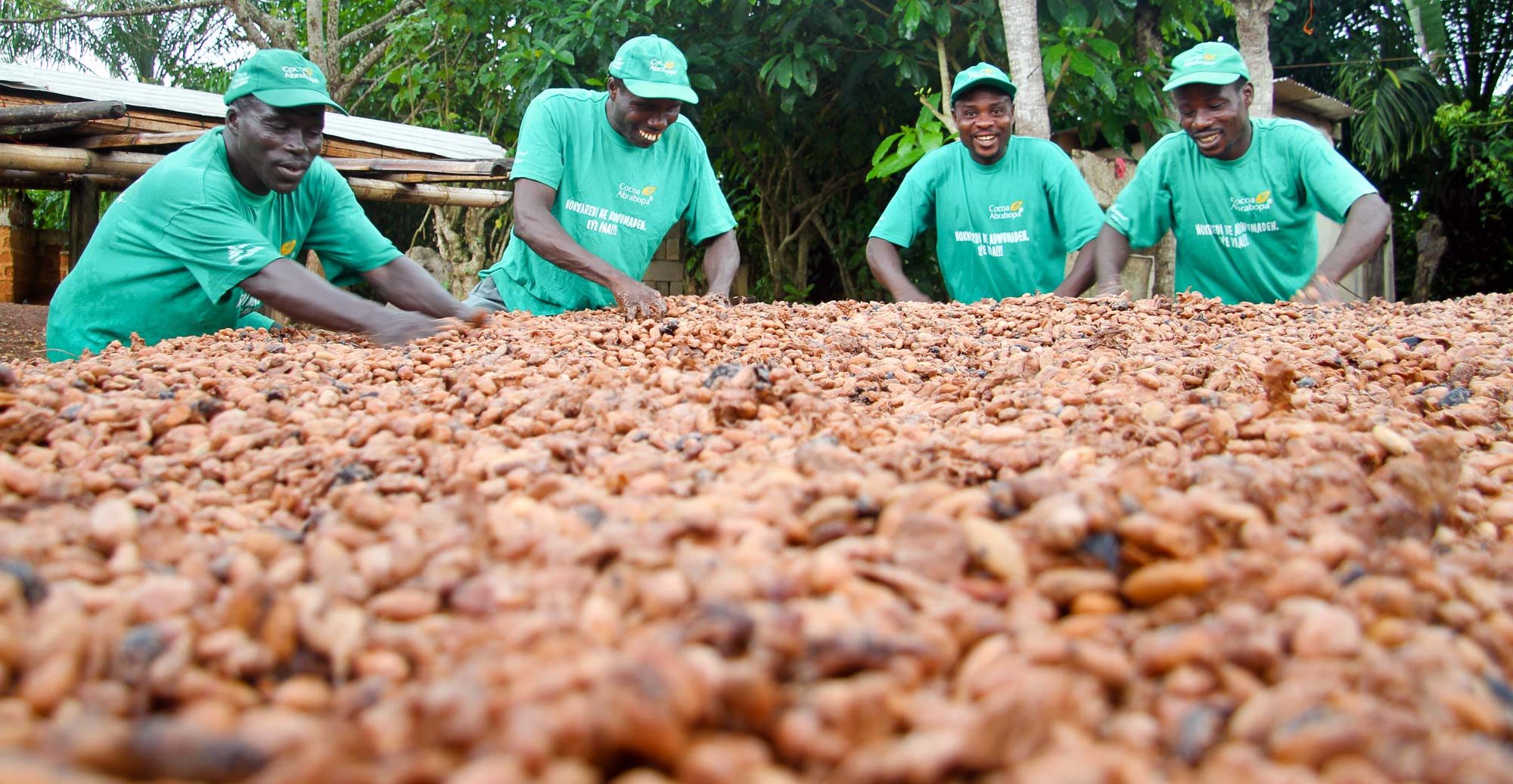 Agriculture in Africa 1